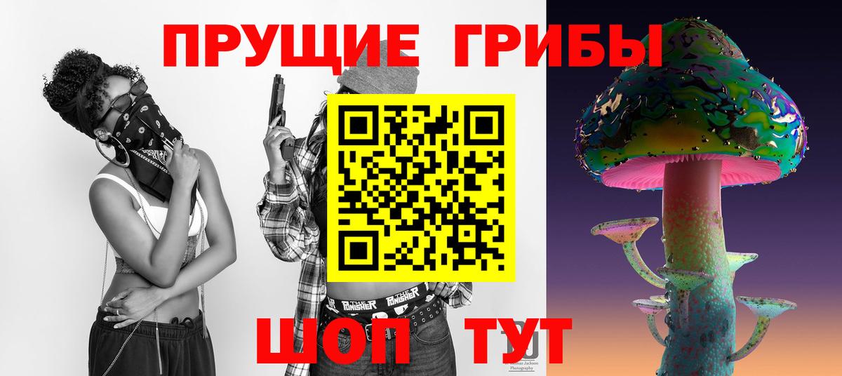 Псилоцибиновые грибы прущие грибы  Вход с VPN  Брянск 