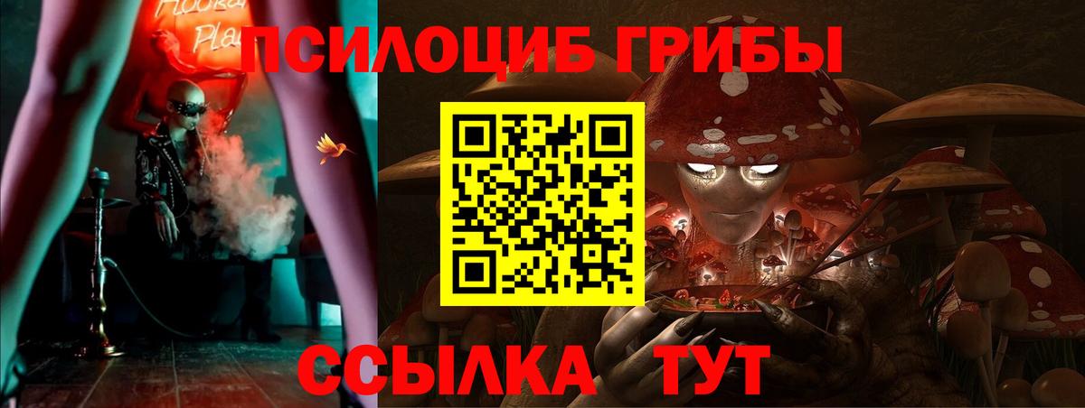 Псилоцибиновые грибы мухоморы Брянск